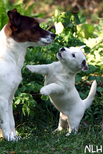 110517_sissi alma.jpg - Sissi & Alma